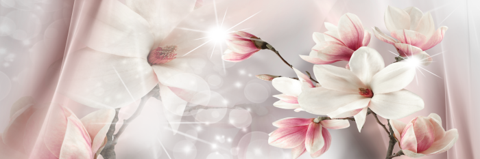 Canvas Magnolia Reflection (1 Part) Narrow