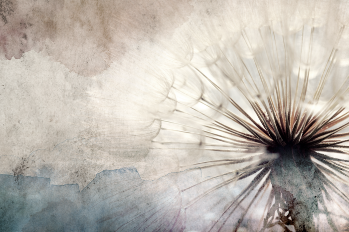 Canvas Dandelions in the Clouds (1 Part) Wide