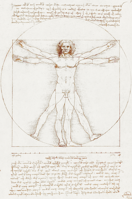 Canvas Wiskundige verhoudingen van het menselijk lichaam volgens Vitruvius