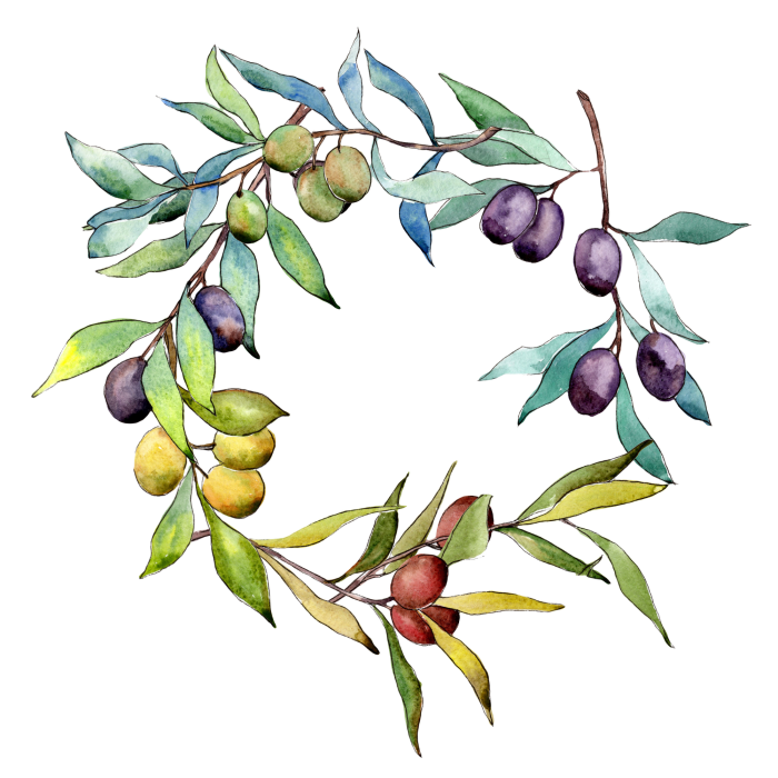 Canvas Aquarel olijfkrans