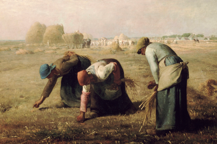 Canvas Vrouwen plukken aren op een boerenveld