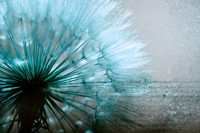 Canvas Blue Gentleness