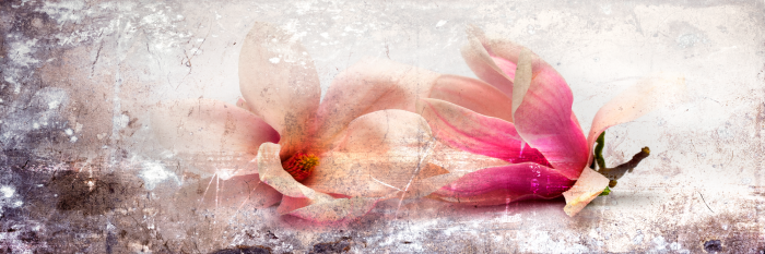 Canvas Magnolia Story (1 Part) Narrow