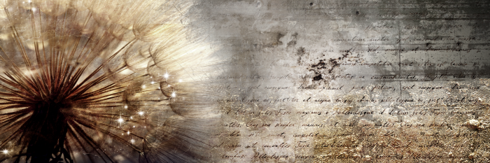 Canvas Dandelion on Concrete