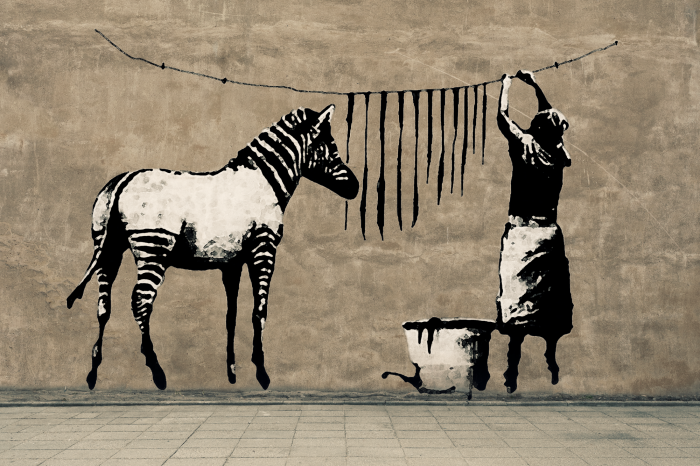 Canvas Banksy: Washing Zebra on Concrete (1 Part) Wide