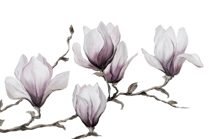 Canvas Painted Magnolias (1 Part) Wide
