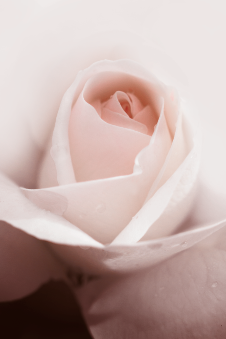 Canvas Level of Feelings (1 Part) Vertical