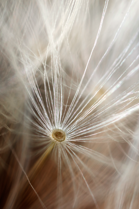 Canvas Beginning of Memories (1 Part) Vertical