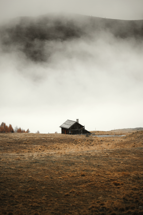 Canvas Asylum in the Mountains (1 Part) Vertical