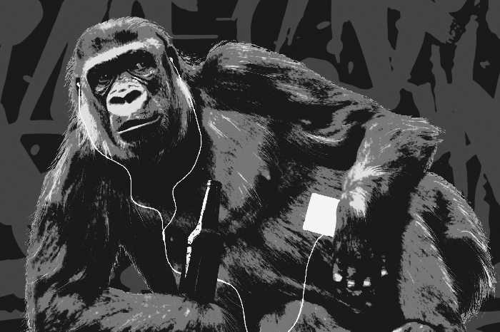 Canvas Pop Art Monkey (1 Part) Narrow Grey