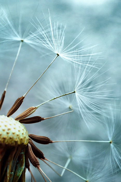 Canvas Elevation of Space (1 Part) Vertical