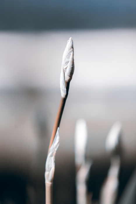 Canvas Botanical Minimalism (1 Part) Vertical