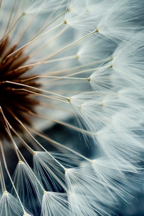 Canvas More Memories (1 Part) Vertical