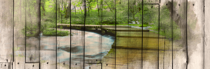 Canvas The River of Memories