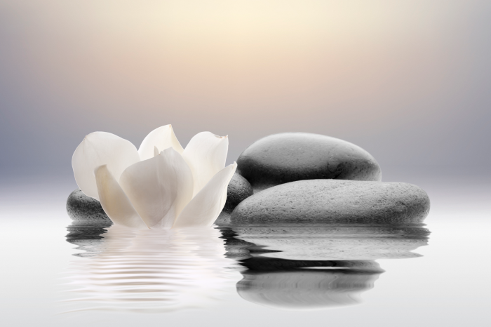 Canvas Garden of Calm