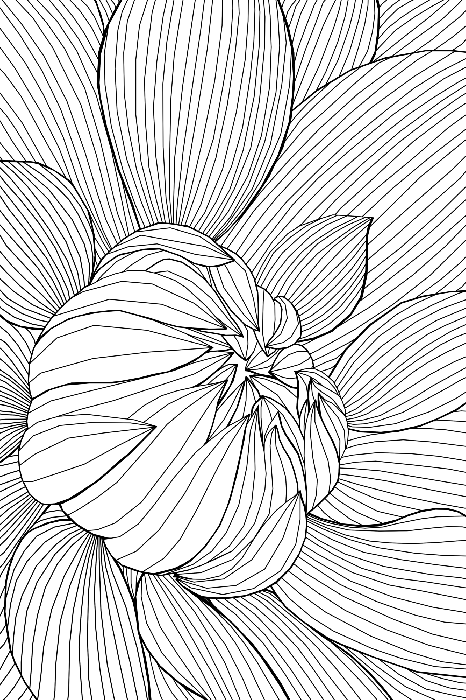 Canvas Flower Line (1 Part) Vertical