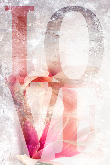 Canvas Magnolia Love (1 Part) Vertical