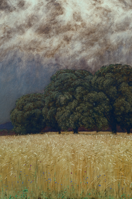 Canvas Gouden graanvelden onder een donkere stormachtige lucht