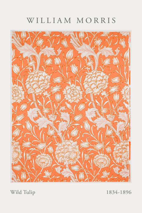 Canvas Een subtiele lijn van tulpen op een oranje achtergrond