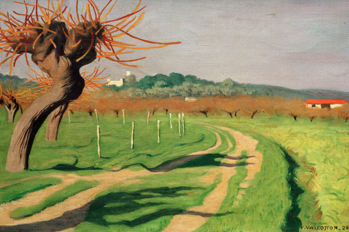 Canvas Een magisch uitzicht op de Cagne-vallei in het subtiele licht van de zon