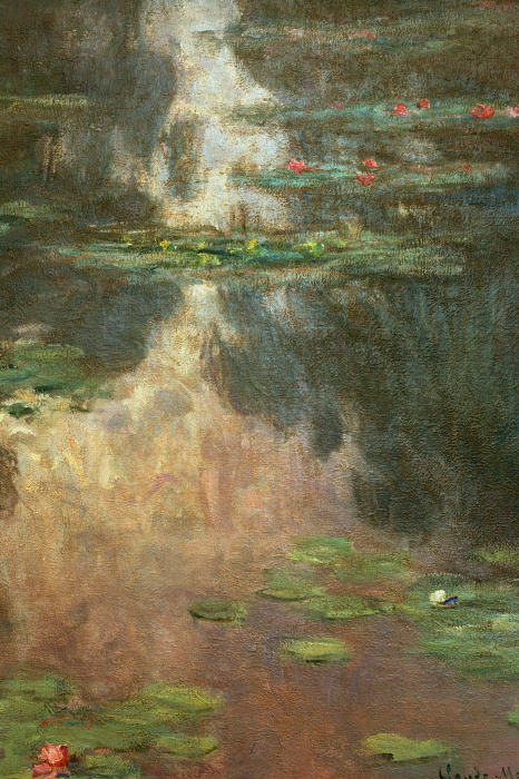 Canvas Zonnestralen dansen op het wateroppervlak vol waterlelies