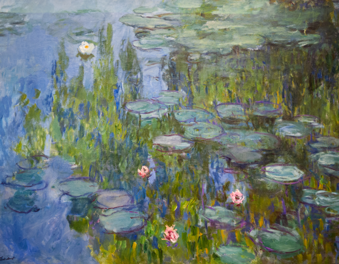 Canvas Een prachtige vijver bedekt met weelderige waterlelievegetatie