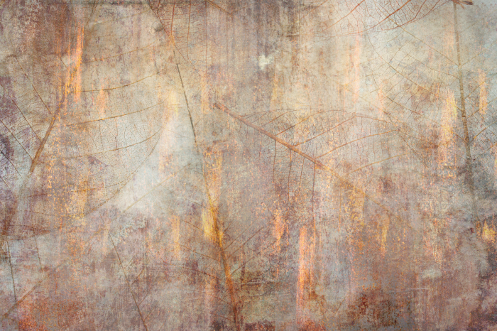 Canvas Dance Of the Senses (1 Part) Wide