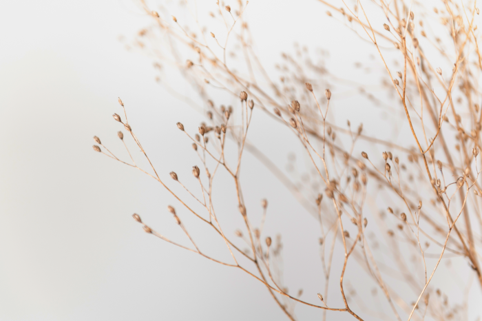 Canvas Minimalist Twig (1 Part) Wide