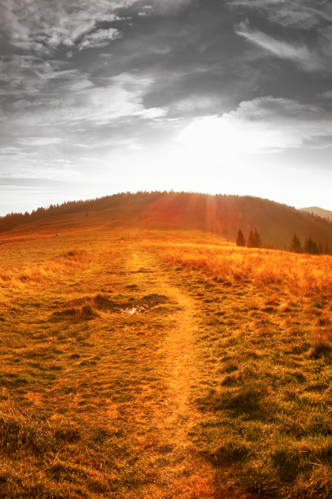 Canvas Idyll (1 Part) Vertical