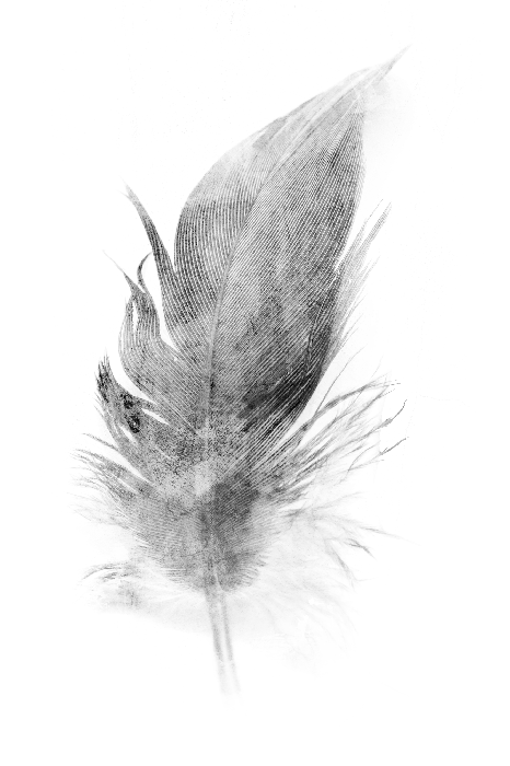 Canvas Transience (1 Part) Vertical