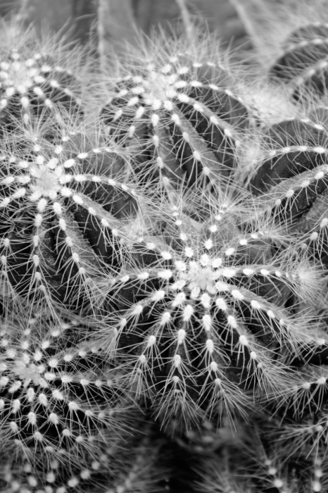 Canvas Risky Adventure (1 Part) Vertical