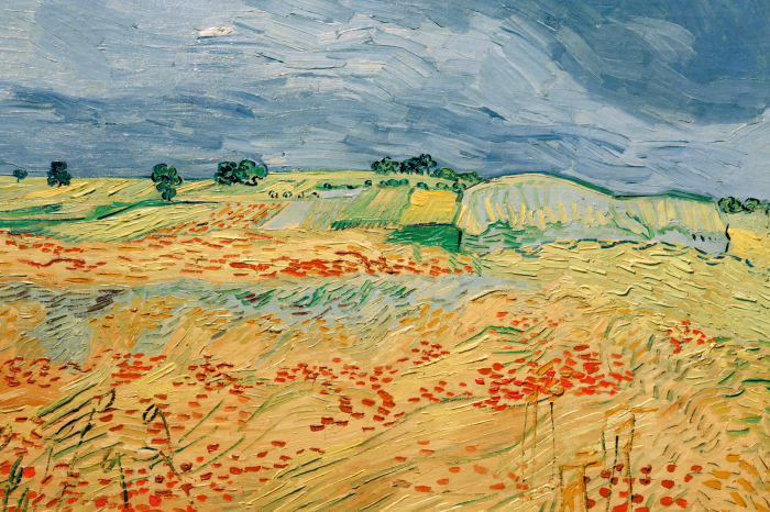 Canvas Pittoreske velden in intense kleuren