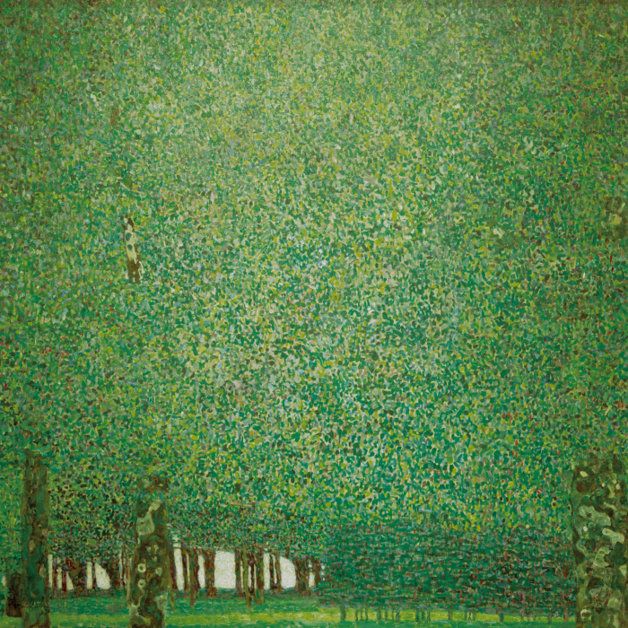 Canvas Het pittoreske parkgebied in de pracht van Klimt