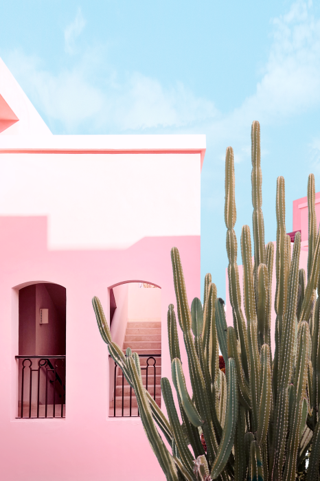 Canvas Een roze huis en een cactus tegen een blauwe lucht