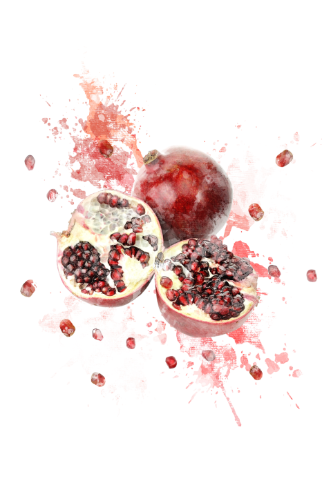 Canvas Granaatappels beschilderd met waterverf