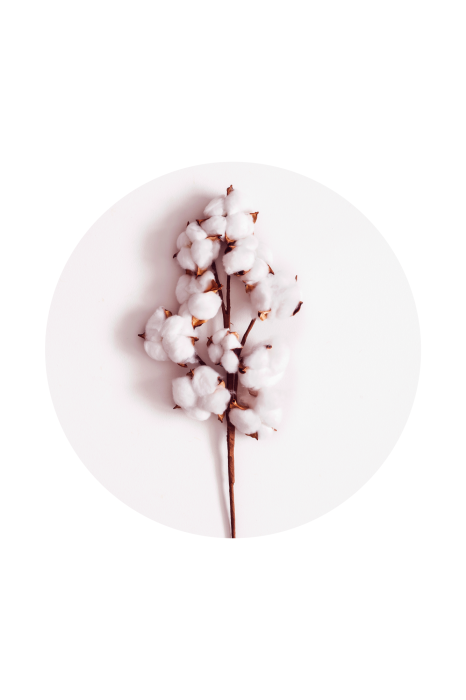 Canvas Soft Cotton (1 Part) Vertical