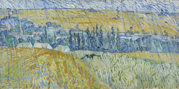 Canvas Auvers in the Rain (Vincent Van Gogh)