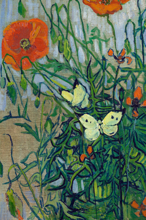 Canvas Landschap van een weide met klaprozen en zwevende vlinders