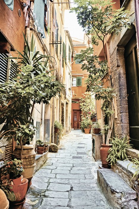 Canvas Een straat met huurkazernes en weelderige begroeiing