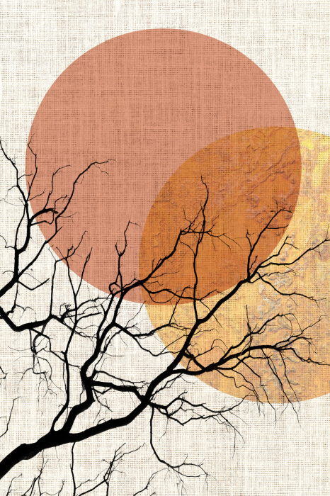 Poster Abstracte zonsondergang en zwarte tak