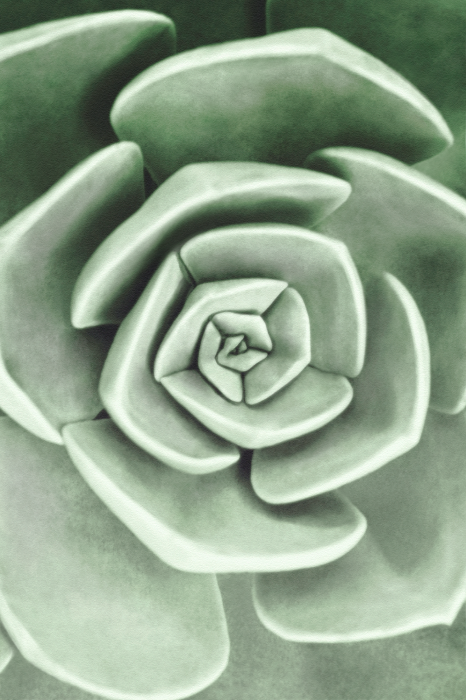 Poster Groene bloem in een macro-spiraalopname