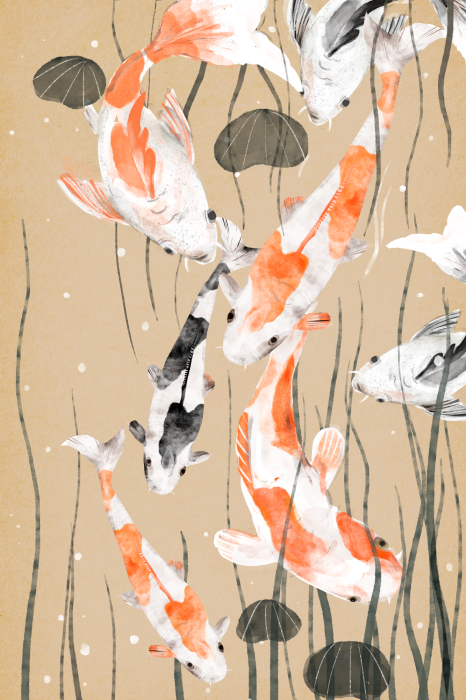 Poster Illustratie van een delicate koi-vis