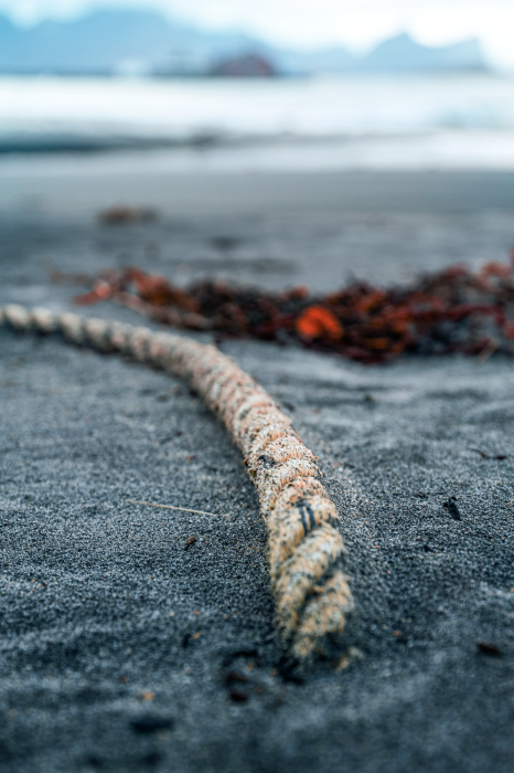 Poster Close-up van een aangespoeld touw op het strand