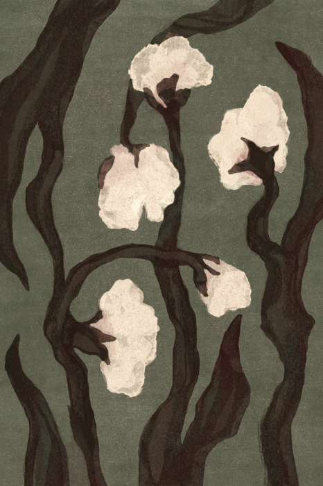 Poster Moderne illustratie van witte bloemen