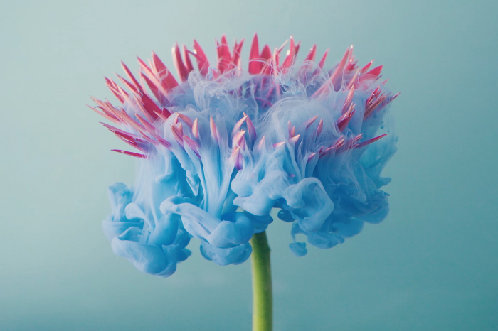 Poster Aquarel bloemenexplosie van kleuren