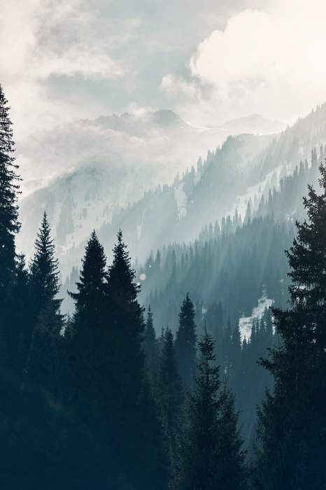 Poster Bergbomen met melkachtige wolken