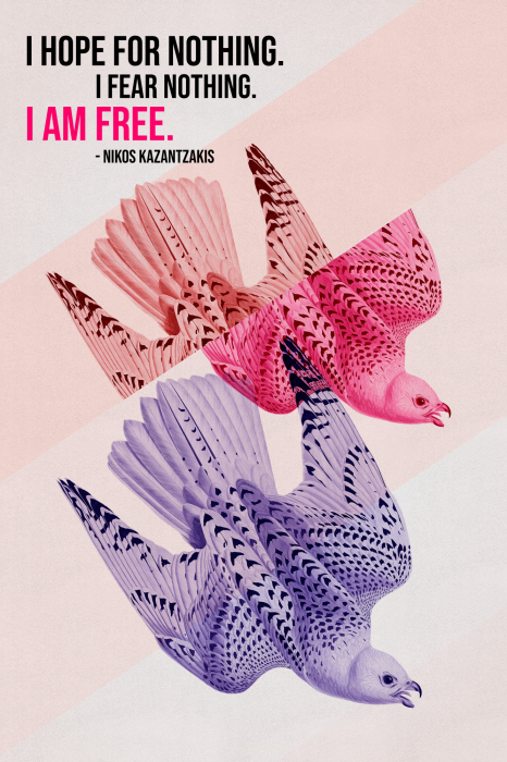 Poster Kleurrijke vogels in vlucht met een slogan over vrijheid