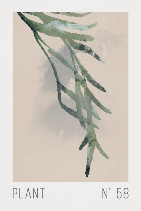Poster Minimalistische plantenillustratie in pasteltinten