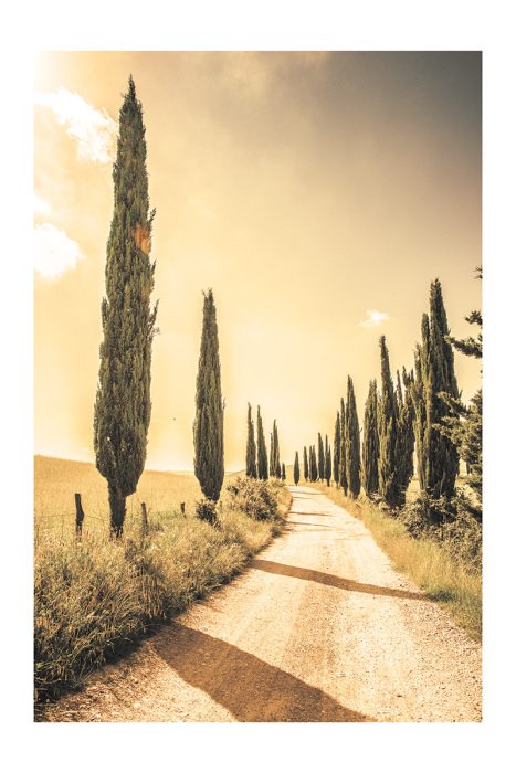 Poster Toscaans pad met cipressen en heuvels op de achtergrond