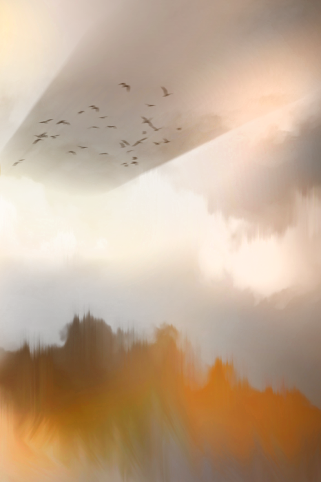 Poster Gouden mist over de bosindruk